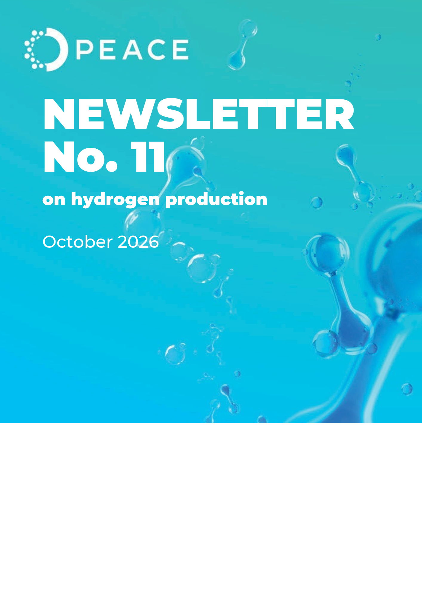 Newsletter No. 11: From Research Results to the PEACE Legacy